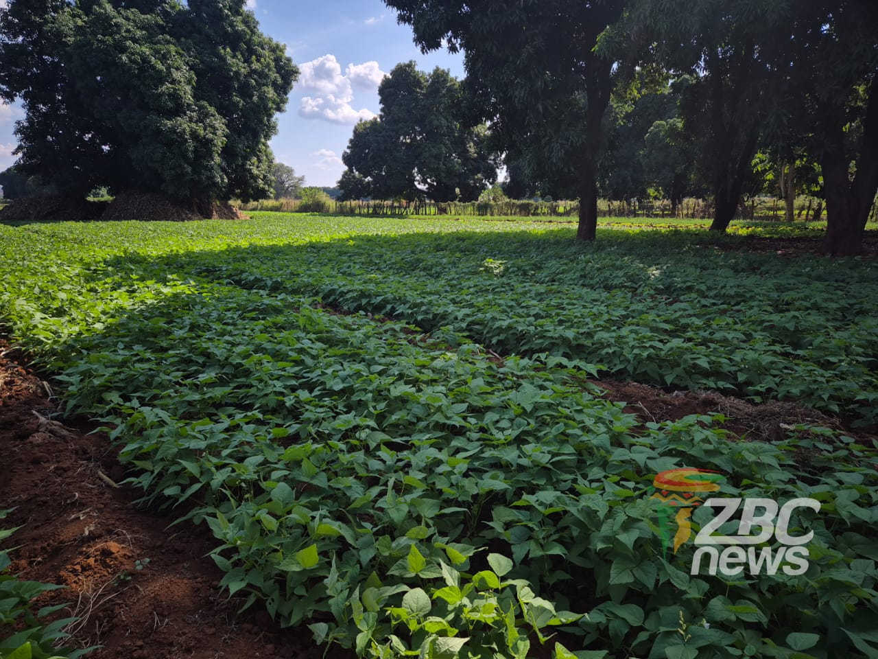 Government targets expanded irrigation to strengthen food security